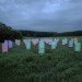 green design, eco design, sustainable design, LED light, Bruce Munro, Light installations, Philadelphia, Longwood Gardens