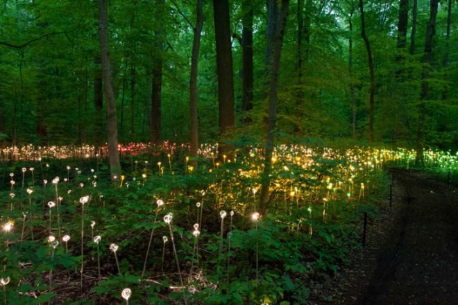 green design, eco design, sustainable design, LED light, Bruce Munro, Light installations, Philadelphia, Longwood Gardens