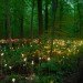 green design, eco design, sustainable design, LED light, Bruce Munro, Light installations, Philadelphia, Longwood Gardens