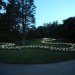green design, eco design, sustainable design, LED light, Bruce Munro, Light installations, Philadelphia, Longwood Gardens