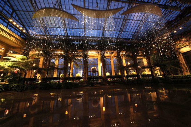 green design, eco design, sustainable design, LED light, Bruce Munro, Light installations, Philadelphia, Longwood Gardens