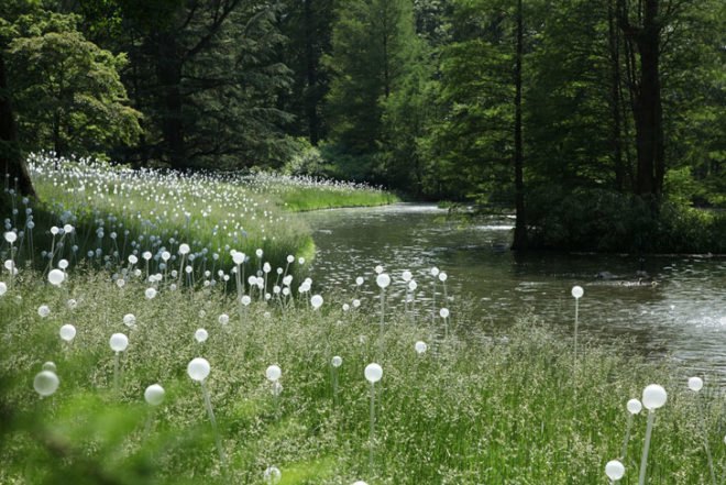 green design, eco design, sustainable design, LED light, Bruce Munro, Light installations, Philadelphia, Longwood Gardens