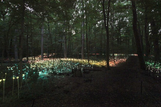 green design, eco design, sustainable design, LED light, Bruce Munro, Light installations, Philadelphia, Longwood Gardens