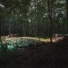 green design, eco design, sustainable design, LED light, Bruce Munro, Light installations, Philadelphia, Longwood Gardens