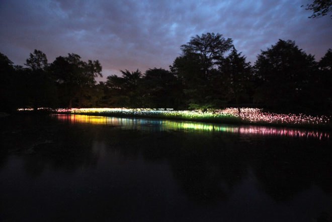 green design, eco design, sustainable design, LED light, Bruce Munro, Light installations, Philadelphia, Longwood Gardens