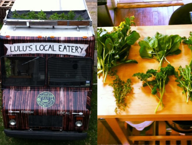 green design, eco design, sustainable design, Marco Castro Coscio, Bus Roots, Lulu's Local Eatery, vegetative roof, edible roof garden, locavore restaurant, green roof, green roof bus