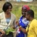Root Community Farm, refugees, new roots, resettlement, IRC, International Rescue Committee, city farm, sustainability, aquaponic greenhouse