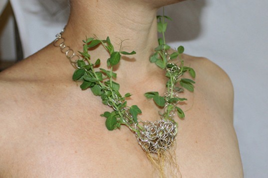 Mischer'traxler, Jewelery, Plants, Rozet&Fischmeister Court Jewelers, Art, Botanical, Accessories and Fashion, grow your own