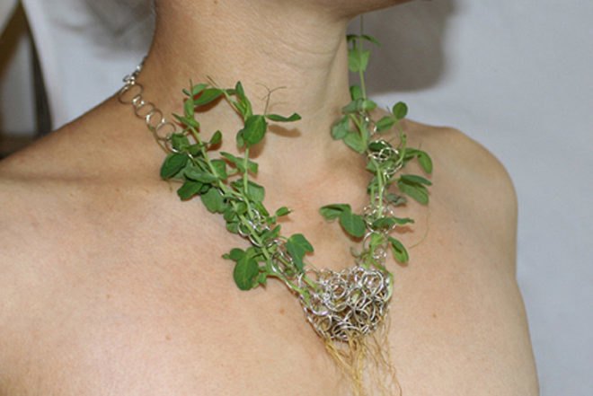 Mischer'traxler, Jewelery, Plants, Rozet&Fischmeister Court Jewelers, Art, Botanical, Accessories and Fashion, grow your own