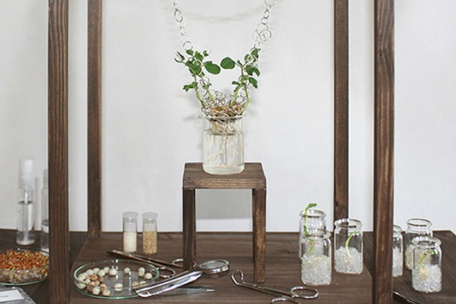 Mischer'traxler, Jewelery, Plants, Rozet&Fischmeister Court Jewelers, Art, Botanical, Accessories and Fashion, grow your own