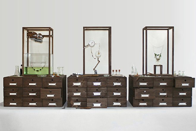 Mischer'traxler, Jewelery, Plants, Rozet&Fischmeister Court Jewelers, Art, Botanical, Accessories and Fashion, grow your own