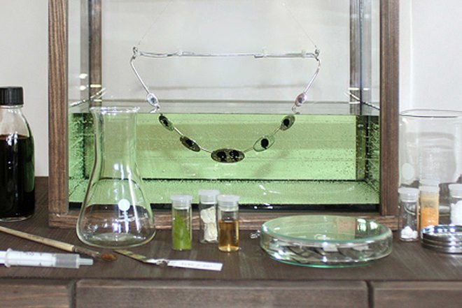 Mischer'traxler, Jewelery, Plants, Rozet&Fischmeister Court Jewelers, Art, Botanical, Accessories and Fashion, grow your own