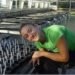 university of western australia, plant communication, plants talk to each other, dr monica gagliano, gagliano plants, botany, ents, plants talk