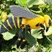 Nature Connects, Lego Sculptures, Sean Kenney, reiman gardens, iowa, legos, ames, eco art
