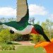 Nature Connects, Lego Sculptures, Sean Kenney, reiman gardens, iowa, legos, ames, eco art