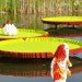 Nature Connects, Lego Sculptures, Sean Kenney, reiman gardens, iowa, legos, ames, eco art