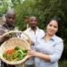 Root Community Farm, refugees, new roots, resettlement, IRC, International Rescue Committee, city farm, sustainability, aquaponic greenhouse