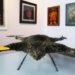 dead cat helicopter, bart jansen, orvillecopter, dead cat bart jansen, orville dead cat, bart jansen controversy, PETA, orville remote controlled helicopter, remote controlled cat