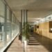 Pinearq, Brullet de Luna, Biomedical Research Park, Barcelona, energy efficient, Wood Louvers, red cedar, Architecture, Daylighting, Renewable Energy