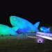 UN Conference of Sustainable Development, green design, eco design, sustainable design, Rio +20, Rio de janiero, recycled art, recycled plastic bottles, Botafogo Beach, plastic bottle fish sculptures