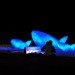 UN Conference of Sustainable Development, green design, eco design, sustainable design, Rio +20, Rio de janiero, recycled art, recycled plastic bottles, Botafogo Beach, plastic bottle fish sculptures