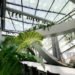 Air quality, Botanical, green Interiors, Sadar+Vuga Architects, Ljubljana's Chamber of Commerce and Industry, Slovenia, glazed shelter, Swirling Lush Tropical Garden