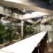 Air quality, Botanical, green Interiors, Sadar+Vuga Architects, Ljubljana's Chamber of Commerce and Industry, Slovenia, glazed shelter, Swirling Lush Tropical Garden