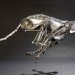 steampunk design, steampunk sculpture, eco sculpture, recycled material sculptures, metal sculptures, animal sculptures, andrew chase, photographer, andrew chase sculptor,