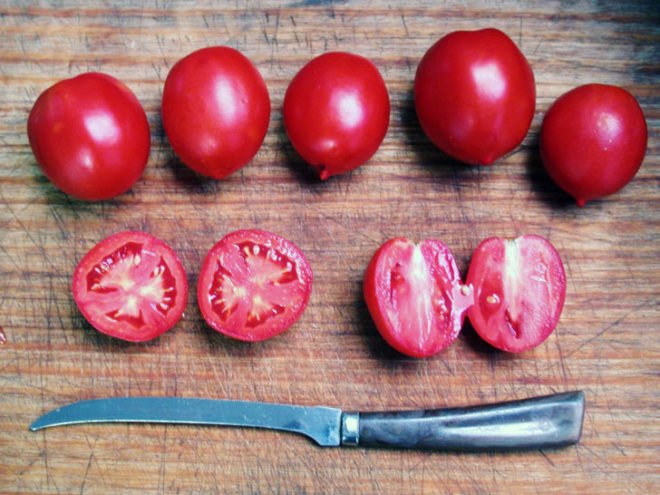 green design, eco design, sustainable design, dinosaur extinction, meteorite, tomato ancestors