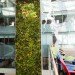 Corus Quay, Toronto, Corus Entertainment, Diamond Schmitt Architects, Living Wall, Vegetated Wall