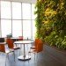 Corus Quay, Toronto, Corus Entertainment, Diamond Schmitt Architects, Living Wall, Vegetated Wall