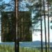 Treehotel, Mirrorcube, DIY, mirror-walls, wood, recyclable aluminum, water-efficient, high-up room, trees, Bolle Tham, Martin Videgård, Water Issues, Sustainable Building, architecture,