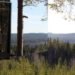 Treehotel, Mirrorcube, DIY, mirror-walls, wood, recyclable aluminum, water-efficient, high-up room, trees, Bolle Tham, Martin Videgård, Water Issues, Sustainable Building, architecture,