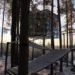 Treehotel, Mirrorcube, DIY, mirror-walls, wood, recyclable aluminum, water-efficient, high-up room, trees, Bolle Tham, Martin Videgård, Water Issues, Sustainable Building, architecture,