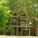 Treehouse, Lynne Knowlton, reclaimed materials, barn wood, recycled materials, upcycled materials, tree house