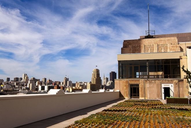 Twitter, San Francisco, urban design, urban renewal, public transportation, green design, sustainable design, eco-design, green roof, health, holistic design, Twitter, corporate, sustainability, BCV Architects, health food, yoga