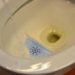 no-mix vacuum toilet, poop power, poo power, fertilizers, compost, biowaste, bioreactor, human waste, alternative energy, human energy