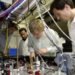 university of bonn, quantum mechanics, next generation computer, atom experiment, photosynthesis, photosynethesis computers