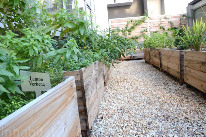 Upper East Side Hotel, Cape Town, World Design Capital 2014, South Africa, urban farming, Urban Harvest, greens, eco-friendly hotel, travel, tourism, sustainably-sourced timber, green design, sustainable design, eco-design, organic food