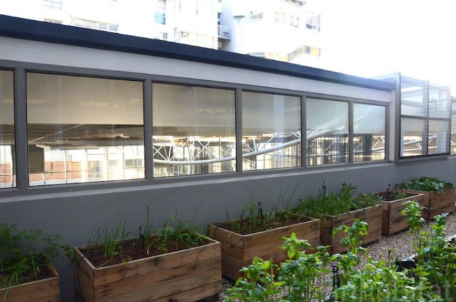 Upper East Side Hotel, Cape Town, World Design Capital 2014, South Africa, urban farming, Urban Harvest, greens, eco-friendly hotel, travel, tourism, sustainably-sourced timber, green design, sustainable design, eco-design, organic food