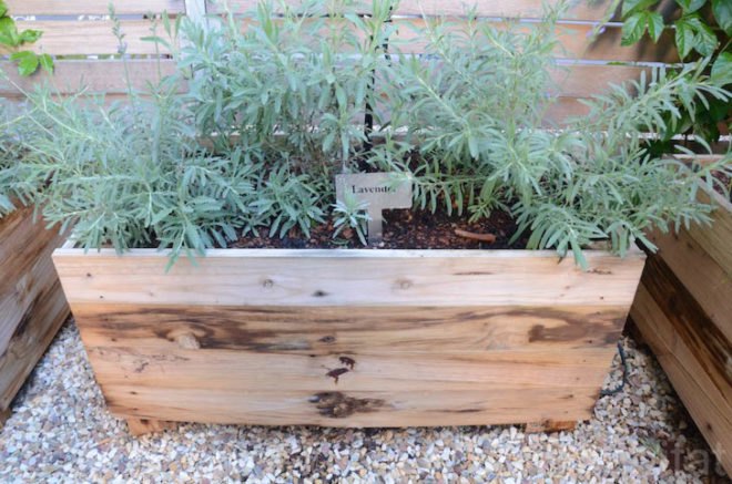 Upper East Side Hotel, Cape Town, World Design Capital 2014, South Africa, urban farming, Urban Harvest, greens, eco-friendly hotel, travel, tourism, sustainably-sourced timber, green design, sustainable design, eco-design, organic food