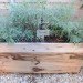 Upper East Side Hotel, Cape Town, World Design Capital 2014, South Africa, urban farming, Urban Harvest, greens, eco-friendly hotel, travel, tourism, sustainably-sourced timber, green design, sustainable design, eco-design, organic food