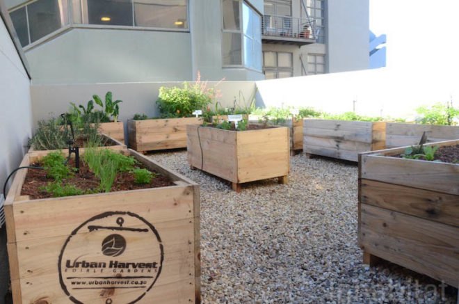 Upper East Side Hotel, Cape Town, World Design Capital 2014, South Africa, urban farming, Urban Harvest, greens, eco-friendly hotel, travel, tourism, sustainably-sourced timber, green design, sustainable design, eco-design, organic food