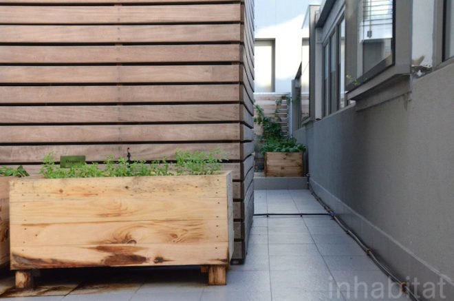 Upper East Side Hotel, Cape Town, World Design Capital 2014, South Africa, urban farming, Urban Harvest, greens, eco-friendly hotel, travel, tourism, sustainably-sourced timber, green design, sustainable design, eco-design, organic food