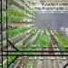 Vertical Harvest, EYe Design, vertical garden, jackson hole, indoor gardening, hydroponic gardening,
