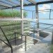 Vertical Harvest, EYe Design, vertical garden, jackson hole, indoor gardening, hydroponic gardening,