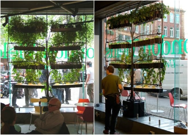 urban agriculture curtain, Bohn and Viljoen, indoor gardening, urban farming, vertical garden, fresh produce, green design, sustainable design, eco planting, hydroponics