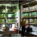 urban agriculture curtain, Bohn and Viljoen, indoor gardening, urban farming, vertical garden, fresh produce, green design, sustainable design, eco planting, hydroponics