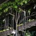 urban agriculture curtain, Bohn and Viljoen, indoor gardening, urban farming, vertical garden, fresh produce, green design, sustainable design, eco planting, hydroponics
