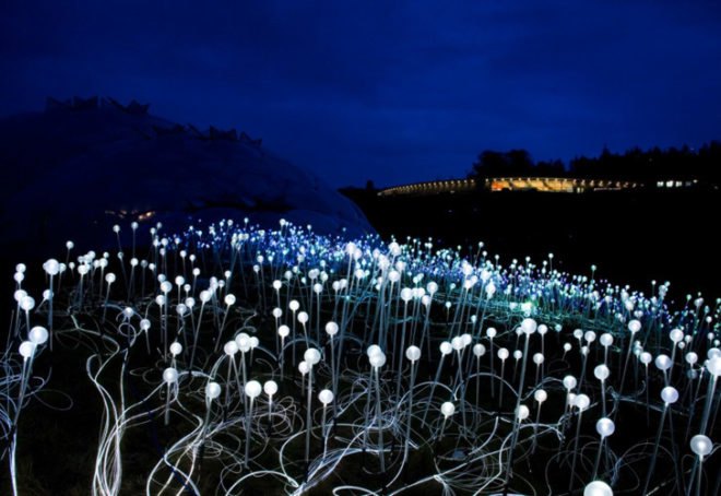bruce munro, fields of light, ayers rock, uluru, australia green art, eco art, sustainable art, green lighting, led, led lighting, light emitting diodes, led flowers, sustainable design, green design